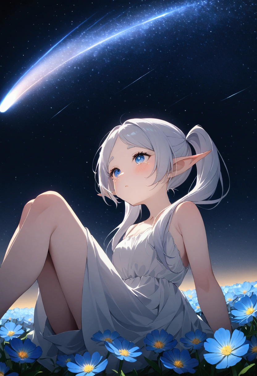  High image quality 、masterpiece、   high quality、Full HD、4K、画面の半分以上をNight Sky、 one girl sitting on the ground 、 view from below、Place your hands on your knees、 Funeral Freelen、 Silver Hair、 twin tails、 blue eyes、Elf Ears、 white dress、 flat chest、Blushing cheeks 、 looking up at the sky 、Look Up、tears、Blue Flower Field、Draw 、Night Sky、 shooting stars