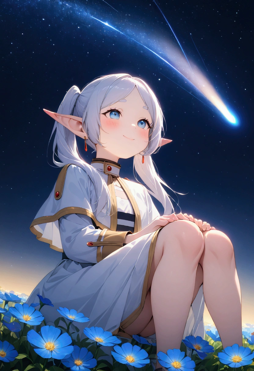  High image quality 、masterpiece、   high quality、Full HD、4K、画面の半分以上をNight Sky、 one girl sitting on the ground 、 view from below、Place your hands on your knees、 Funeral Freelen、 Silver Hair、 twin tails、 blue eyes、Elf Ears、 white dress、 flat chest、Blushing cheeks 、 looking up at the sky 、Look Up、smile、Blue Flower Field、Draw 、Night Sky、 shooting stars