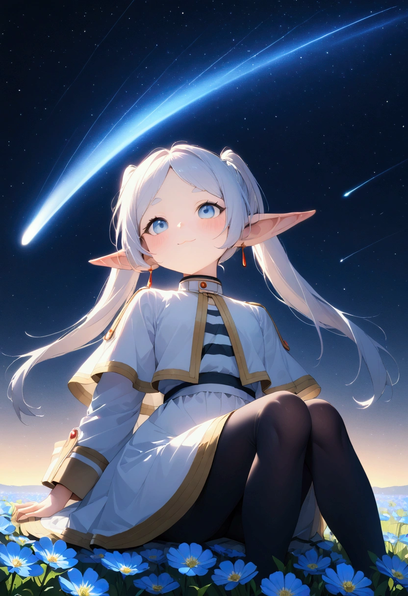  High image quality 、masterpiece、   high quality、Full HD、4K、画面の半分以上をNight Sky、 one girl sitting on the ground 、 view from below、 Funeral Freelen、 Silver Hair、 twin tails、 blue eyes、Elf Ears、 White Dress 、 striped inner、skirt with gold hem 、Black tights、 flat chest、Blushing cheeks 、 looking up at the sky 、Look Up、smile、Blue Flower Field、Draw 、Night Sky、 shooting stars、Meteor Shower