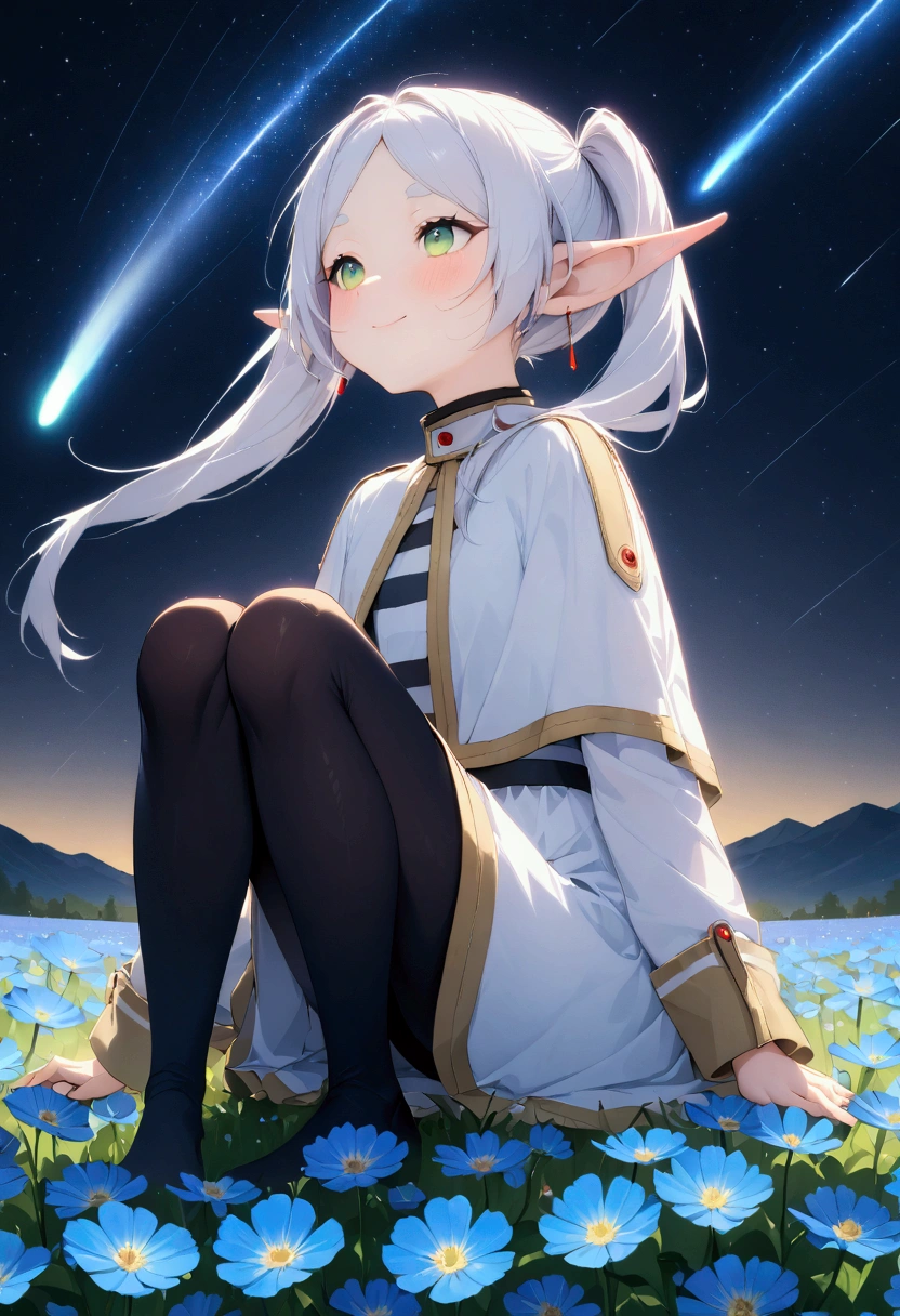  High image quality 、masterpiece、   high quality、Full HD、4K、画面の半分以上をNight Sky、 standing、 one girl sitting on the ground 、View from the side、 Funeral Freelen、 Silver Hair、 twin tails、Green Eyes、Elf Ears、 White Dress 、 striped inner、skirt with gold hem 、Black tights、 flat chest、Blushing cheeks 、 looking up at the sky 、Look Up、smile、Blue Flower Field、Standing in a flower field、Night Sky、 shooting stars、Meteor Shower