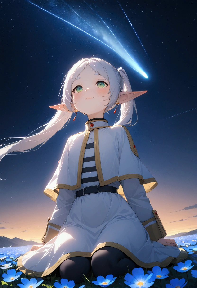  High image quality 、masterpiece、   high quality、Full HD、4K、 standing、 one girl sitting on the ground 、 Funeral Freelen、 Silver Hair、 twin tails、Green Eyes、Elf Ears、 White Dress 、 striped inner、skirt with gold hem 、Black tights、 flat chest、Blushing cheeks 、 looking up at the sky 、Look Up、smile、Blue Flower Field、Standing in a flower field、Night Sky、 shooting stars、Meteor Shower