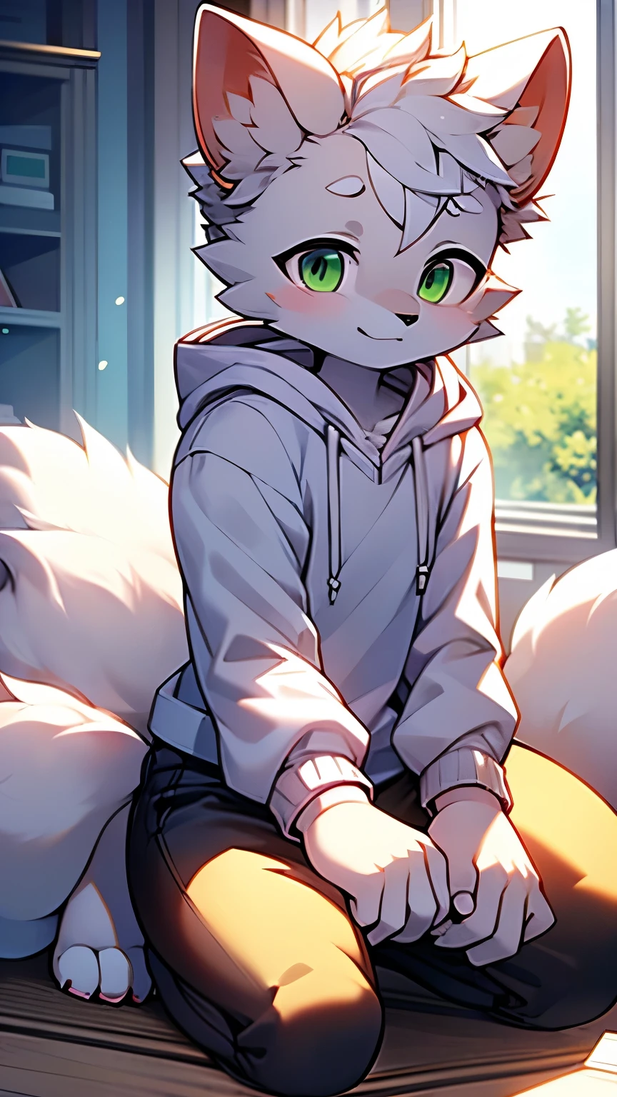 One Person, s , fluffy shota ,wolf,หางwolf(Has 9 tails ),White ears,Short white hair, green eyes, emerald ,  fine body hair ,(( fine body hair {x} men wearing a rabbit white hoodie, Black pants))Look at someone else , canine,  white body hair , Detailed face,smile,Small eyebrows, detailed eyes ,  detailed body ,ขนตาม detailed body , Detailed hands , shiny body ,  shiny body , thin, Full Body,เท้าที่มี three toes ,  three toes ,Straight body,kneel, in one building , light around One Person, s , fluffy shota ,wolf,หางwolf(Has 9 tails ),White ears,Short white hair, green eyes, emerald ,  fine body hair ,(( fine body hair {x} men wearing a rabbit white hoodie, Black pants))Look at someone else , canine,  white body hair , Detailed face,smile,Small eyebrows, detailed eyes ,  detailed body ,ขนตาม detailed body , Detailed hands , shiny body ,  shiny body , thin, Full Body,เท้าที่มี three toes ,  three toes ,alone,Straight body,kneel, in one building , light around 