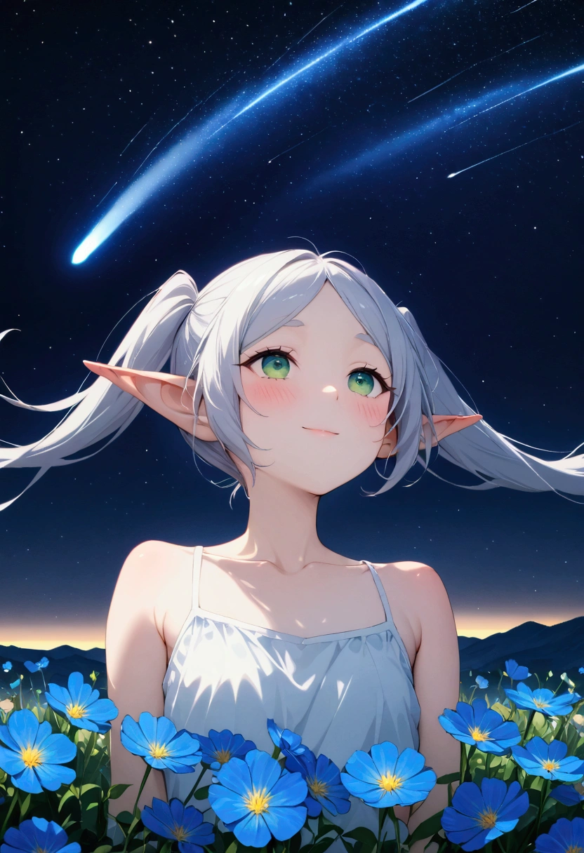  High image quality 、masterpiece、    high quality、Full HD、4K、画面の半分以上をNight Sky、 One girl lies down 、Side view、 Funeral Freelen、  silver hair、  twin tails、 Green Eyes、Elf Ears、   white camisole、  flat chest、blush 、 空を look up  、 look up 、smile、Blue Flower Field、Blue Flower Fubuki、Night Sky、  shooting stars、Meteor Shower