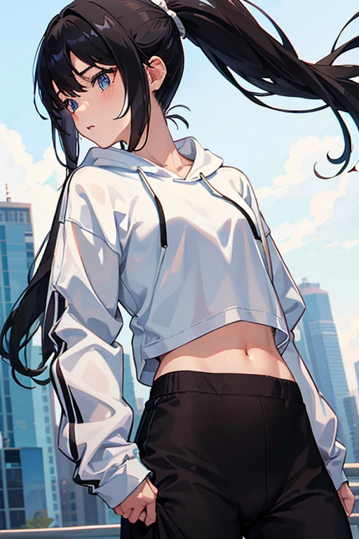 very good image, a cute beautiful anime tomboy girl, long black hair, hu tao , ponytail, white crop top hoodie, black training pants, city(hd view), high quality, high details