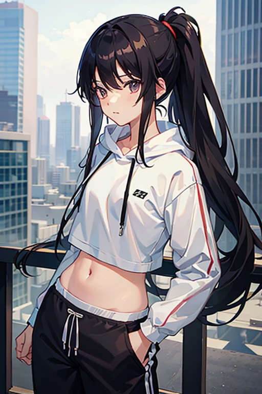 very good image, a cute beautiful anime tomboy girl, long black hair, hu tao , ponytail, white crop top hoodie, black training pants, city(hd view), high quality, high details