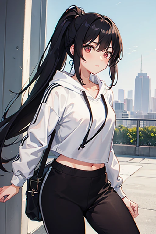 very good image, a cute beautiful anime tomboy girl, long black hair, hu tao , ponytail, white crop top hoodie, black training pants, city(hd view), high quality, high details