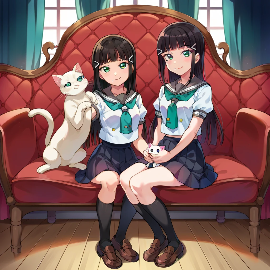 score_9, score_8_up, score_7_up, source_anime,
diakurosawa, dia kurosawa, long hair, bangs, black hair, hair ornament, green eyes, sidelocks, hairclip, blunt bangs, mole, mole under mouth, smile,
skirt, school uniform, short sleeves, pleated skirt, serafuku, socks, neckerchief, kneehighs, black socks, emerald green neckerchief, black skirt, uranohoshi school uniform,
 holding a cat in lap. sitting in a chair, at a concert venue
looking at viewer, full body shot, standing up