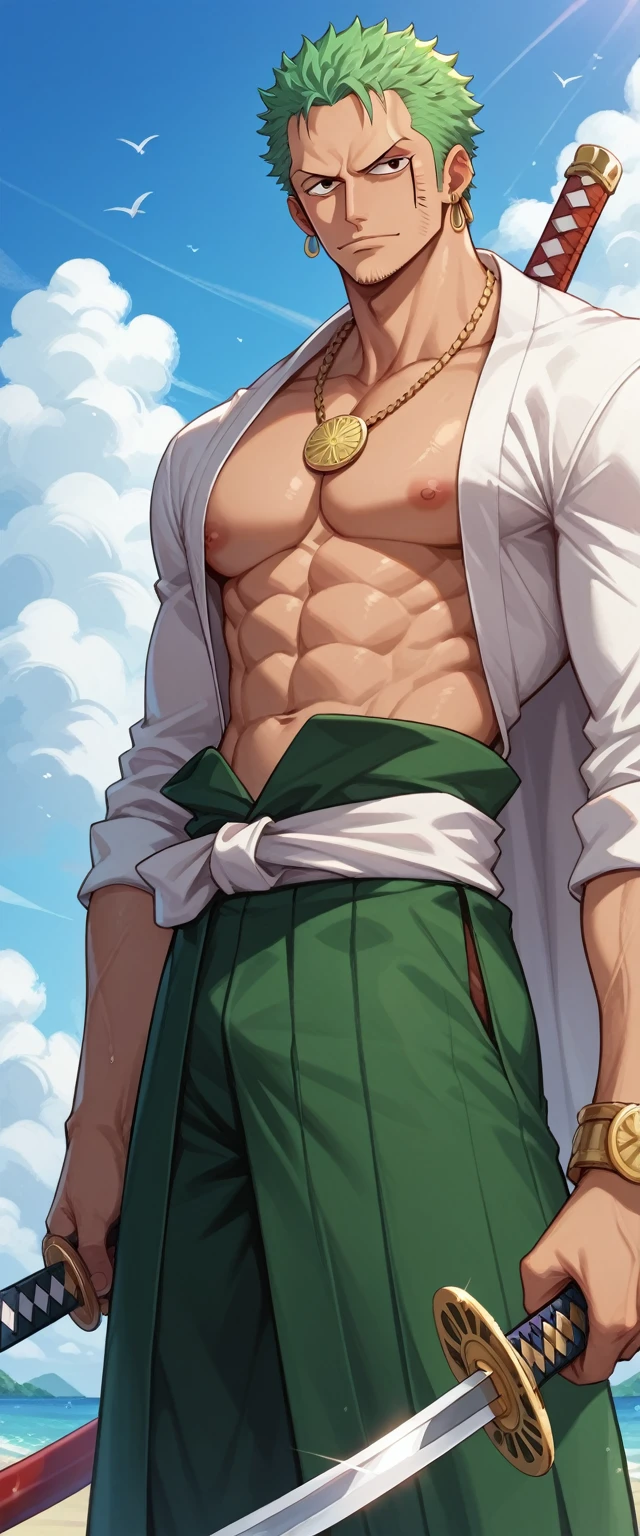 Score_9, Score_8_up, Score_7_up, Score_6_up, Score_5_up, Score_4_up, Source_anime, Tag1, Tag2, Quality_masterpiece, ZORO from One Piece,Katana,Sword,