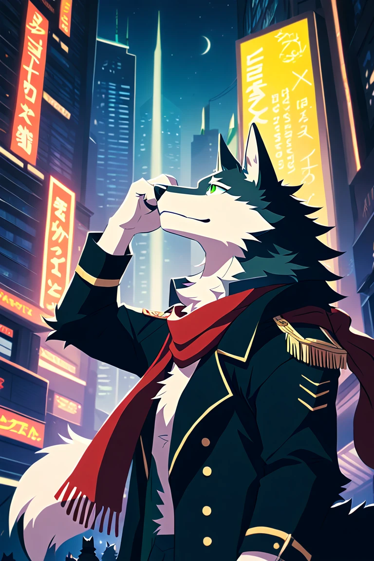 rouon aro,black fur,white fur,GREEN EYES,WOLF,FURRY,ANTHRO,scarf,night city,look up,black coat,look up