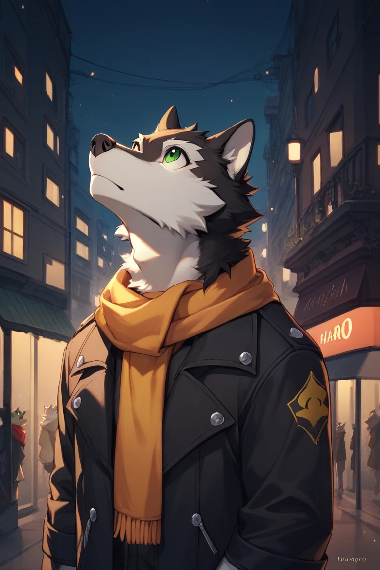 rouon aro,black fur,white fur,GREEN EYES,WOLF,FURRY,ANTHRO,Hash,scarf,night city,look up,black coat,look up