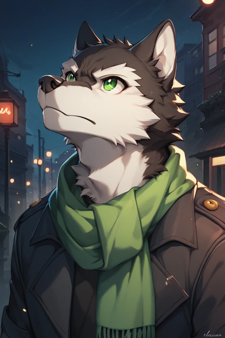 rouon aro,black fur,white fur,GREEN EYES,WOLF,FURRY,ANTHRO,Hash,scarf,night city,look up,look up,serious