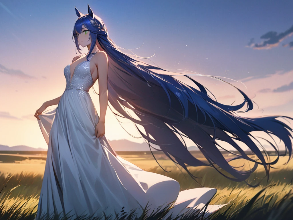 ((masterpiece,  Best Quality )),(illustration),(detailedLight),(( extremely exquisite and beautiful)),1 Girl,Godolphin Arabian Horse,long hair,blue hair, green eyes,Horse ears,Horse Girl,hair_ ornament , white dress,  Bare Shoulders , ,Sleeveless,Evening Dress,Long skirt,Outdoors, Light, blue sky , horizon, grassland, wilderness