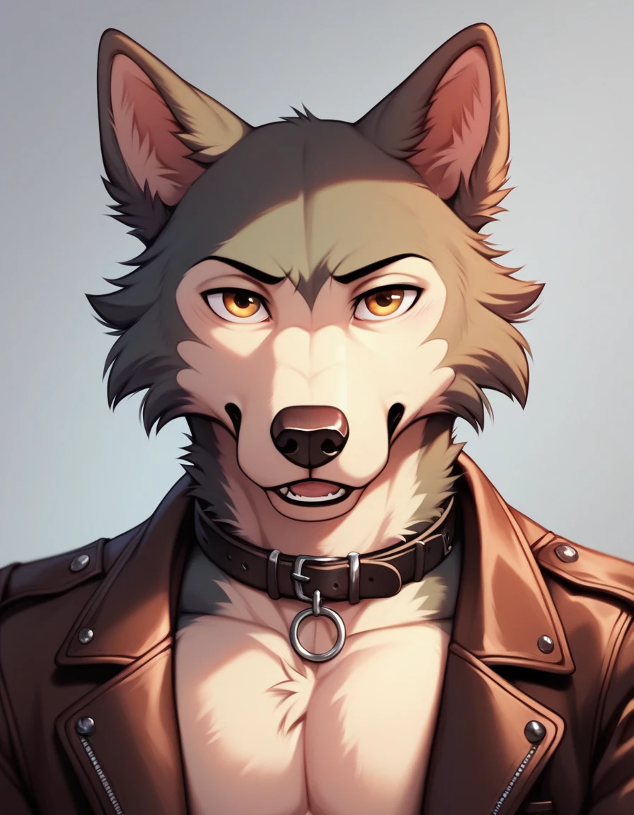 A close-up illustration of a confident, independent wolf, captured as if taking a selfie. The wolf's fur is dark gray with lighter gray on his chest and shoulders, giving him a rugged, mysterious look. His intense amber eyes are focused directly at the viewer, showing intelligence and a calm yet assertive nature. His face is framed by a few loose strands of fur, and there's a subtle scar on his cheek, hinting at past struggles. He’s wearing a worn brown leather jacket, unbuttoned slightly at the top, with the collar turned down, adding to his laid-back, rebellious vibe. The background is blurred, focusing on the wolf's face and upper body, with a moody and shadowed ambiance that highlights his enigmatic persona. The style should capture the expressive, detailed character designs typical of Beastars, emphasizing his strength, confidence, and slightly mysterious charm.