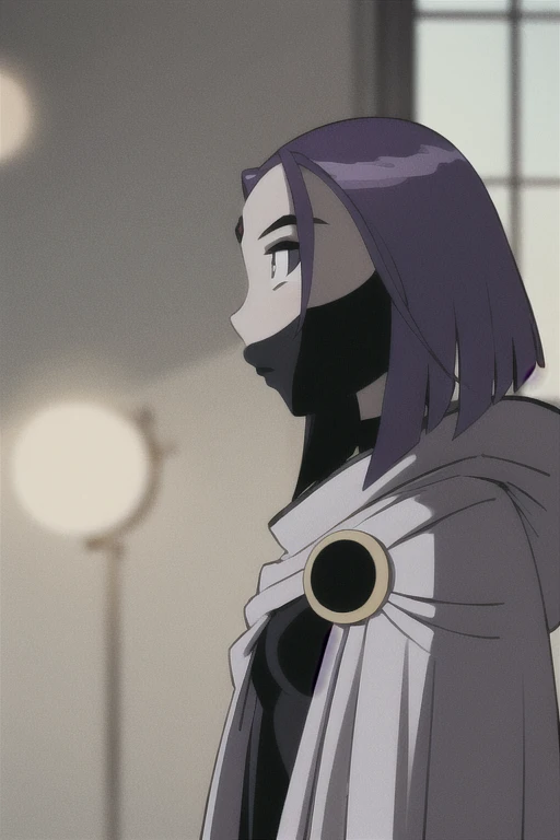 score_9, score_8_up, score_7_up, volumetric lighting,
white raven, 1girl, solo, short hair, purple hair, hood, cape, colored skin, cloak, grey skin, forehead jewel
