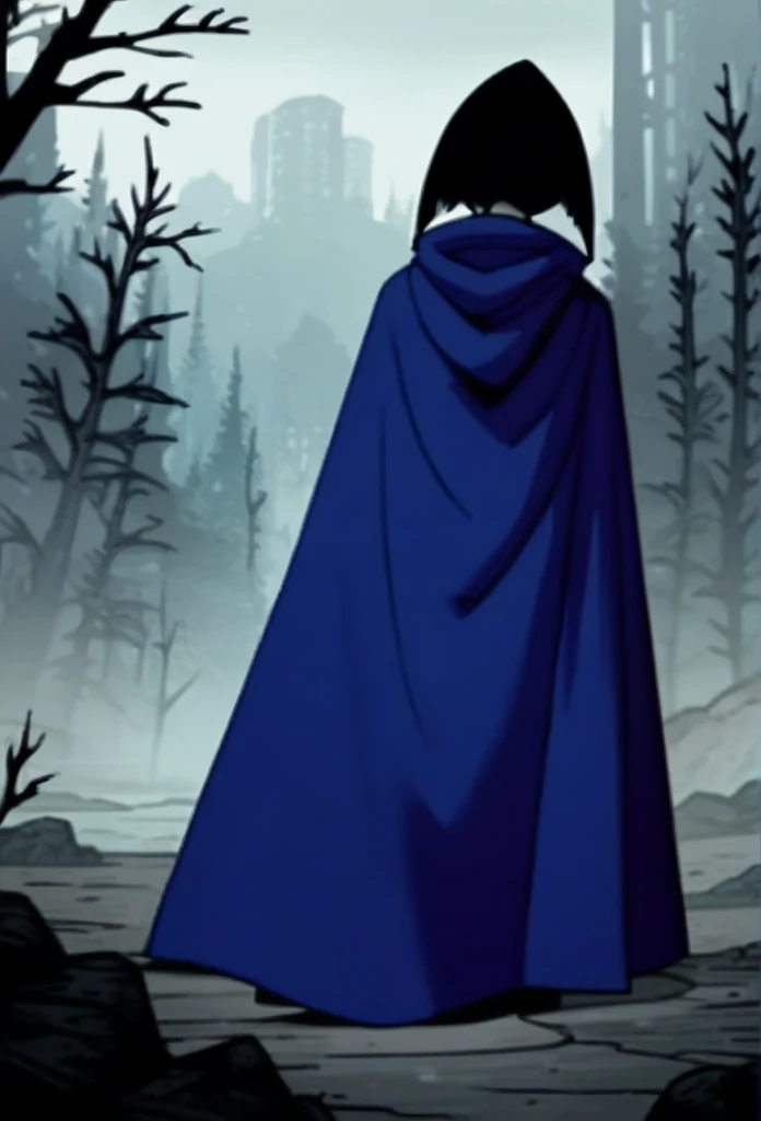 1girl, solo, raven (dc), purple eyes,  purple hair, grey skin, forehead jewel, blue cape covering whole body, long blue cape, cape reaches the ground, standing, fog, forest, city, hood covered head, from behind, look behind