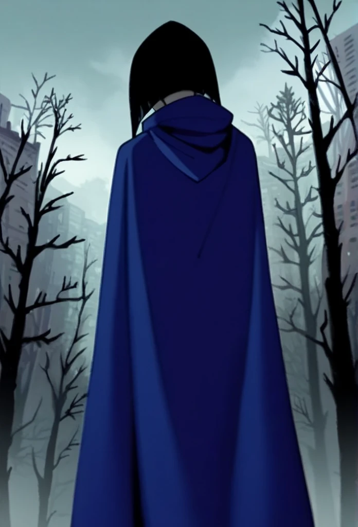 1girl, solo, raven (dc), purple eyes,  purple hair, grey skin, forehead jewel, blue cape covering whole body, long blue cape, cape reaches the ground, standing, fog, forest, city, hood covered head, from behind, from below