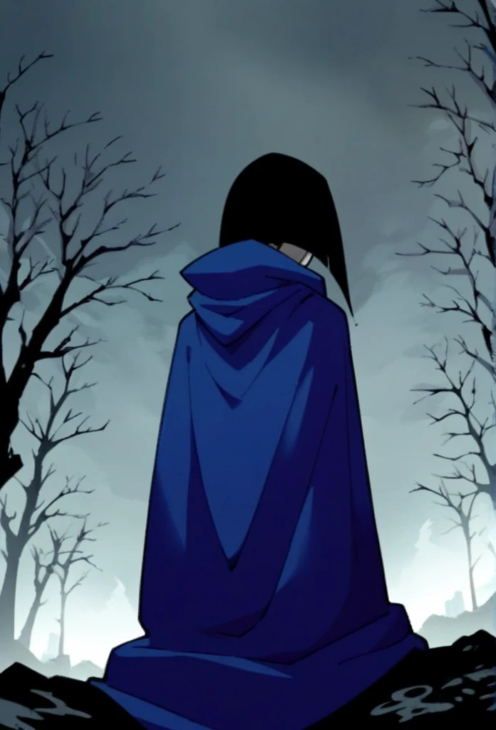 1girl, solo, raven (dc), purple eyes,  purple hair, grey skin, forehead jewel, blue cape covering whole body, long blue cape, cape reaches the ground, sitting, fog, forest, city, hood covered head, from behind, from below