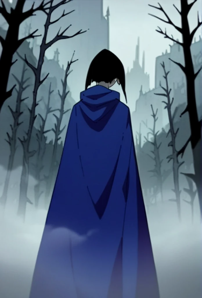 1girl, solo, raven (dc), purple eyes,  purple hair, grey skin, forehead jewel, blue cape covering whole body, long blue cape, cape reaches the ground, standing,, fog, forest, city, hood covered head, from behind, from underneath