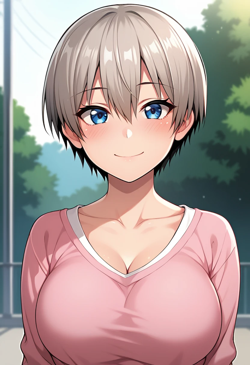 score_9,score_8_up,score_7_up,score_6_up BREAK official art,solo,outdoors,upper body,(portrait:1.5),looking at viewer,facing viewer,smile,blush,Hana Uzaki,grey hair,short hair,shiny hair,hair between eyes,bangs,blue eyes,collarbone,pink shirt,long sleeves,large breasts,denim shorts,short shorts,white socks,sneakers,