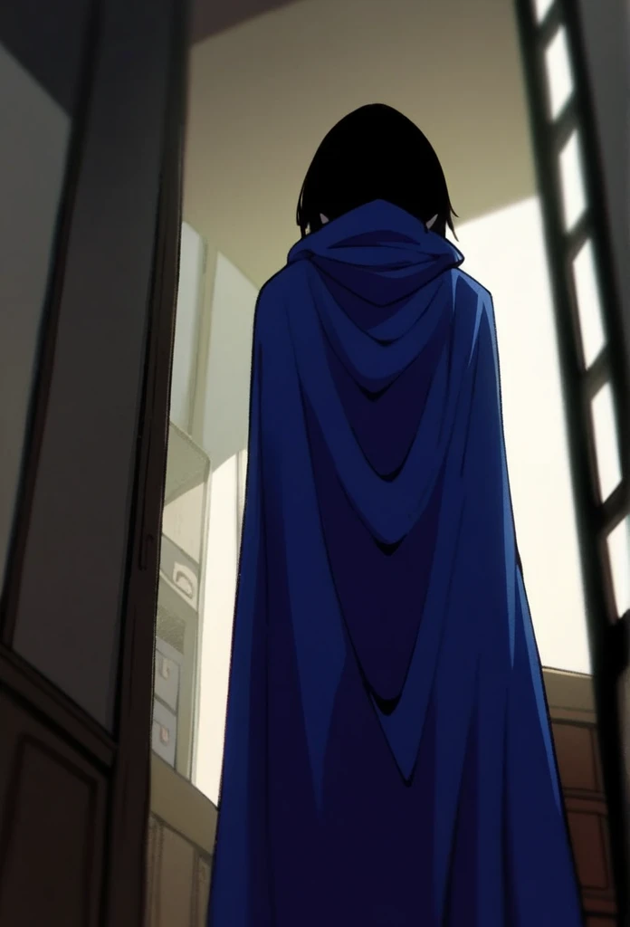 1girl, solo, raven (dc), blue cape covering whole body, long blue cape, cape reaches the ground, standing, room, halfway, hood covered head, from behind, form below, High Resolution, Best Quality, Masterpiece, 