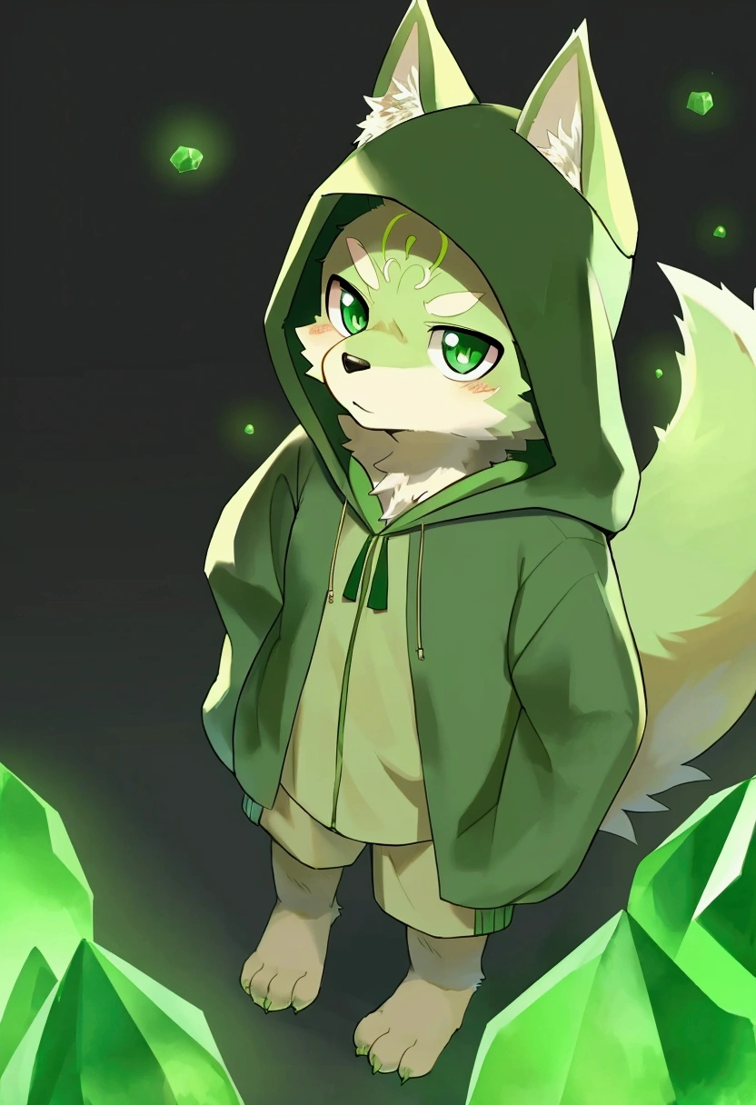 solo, 1boy, Furry, kemono, furry wolf, anthropomorphic, male, lime-colored fur , emerald-colored eyes.A green hoodie with a knee-length hood. Fluffy tail. standing posture,There is a small green crystal in the forehead