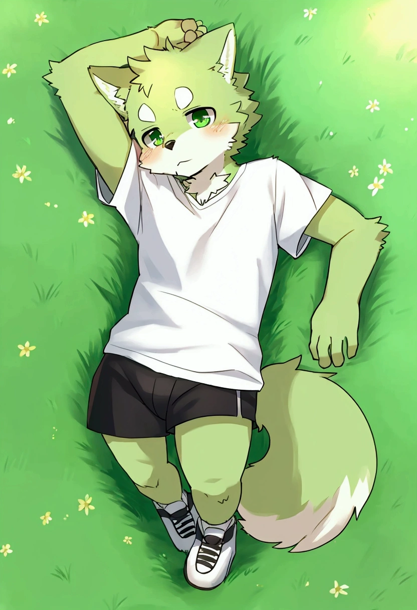 solo, 1boy, Furry, kemono, furry wolf, anthropomorphic, male, lime-colored fur , emerald-colored eyes.Fluffy tail. standing posture,There is a small green crystal sticking out of his forehead ,I'm wearing a white T-shirt and a black shorts, I'm wearing sneakers,I'm lying on the grass