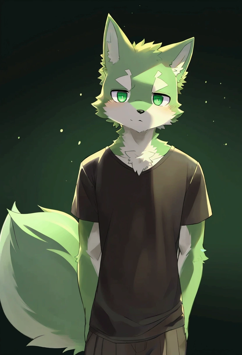 solo, 1boy, Furry, kemono, furry wolf, anthropomorphic, male, lime-colored fur , emerald-colored eyes.Fluffy tail. standing posture,There is a small green crystal sticking out of his forehead,His face is getting closer, wear dark green T-shirt 