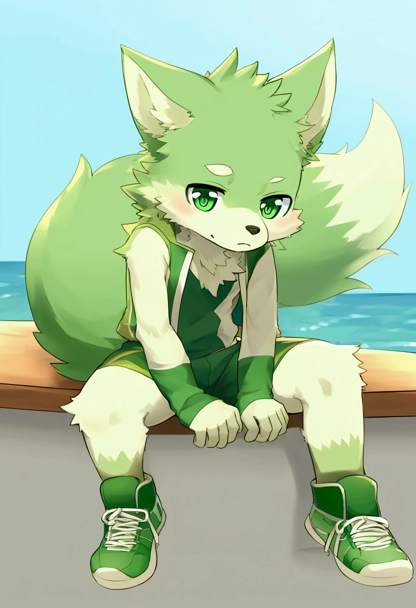 solo, 1boy, Furry, kemono, furry wolf, anthropomorphic, male, lime-colored fur , emerald-colored eyes.Fluffy tail. ,There is a small green crystal sticking out of his forehead,Wearing sneakers. Sitting on a table, against the backdrop of a seascape,Two legs are visible