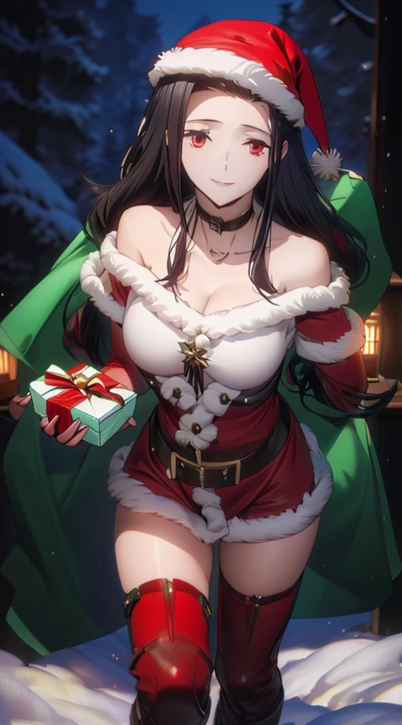 red christmas hat, high detail