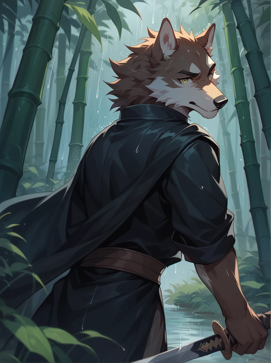  furry , male,  wild, (( wild)), aldult, Wolf, strong, Detailed Body ,  detailed face ,  Detailed eyes , ( Best Quality), Second Dimension, front,  Black Robe , black pupils ,Black Sky,forest,rain,Calm expression,Holding a black sword in his hand,antiquity,Bamboo leaves are flying off , in the dark,It&#39;s raining,strong的身材, look indifferent