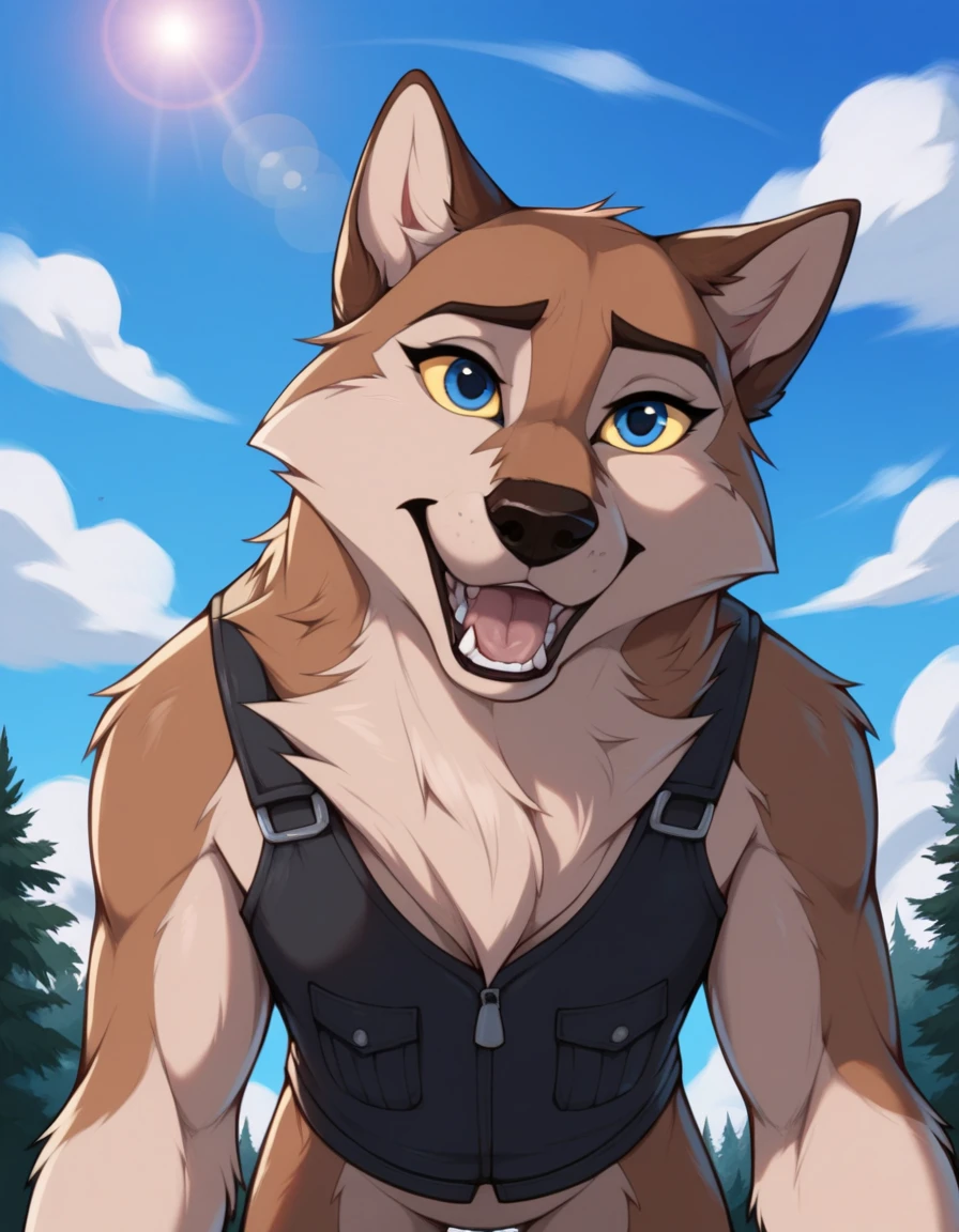 score_9, score_8_up, score_7_up, score_6_up,aleu, open mouth, blue eyes, outdoors, sky, day, blue sky, no humans, colored sclera, dog, animal focus, animalization, 1girl, wolf, animal, body fur, two tone fur, yellow sclera, doggystyle pov, wearing a bulletproof dog vest 