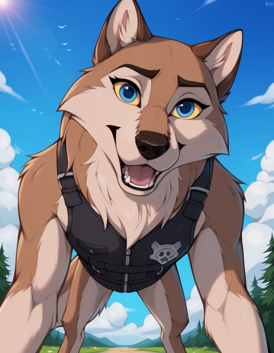 score_9, score_8_up, score_7_up, score_6_up,aleu, open mouth, blue eyes, outdoors, sky, day, blue sky, no humans, colored sclera, dog, animal focus, animalization, 1girl, wolf, animal, body fur, two tone fur, yellow sclera, doggystyle pov, wearing a bulletproof dog vest 