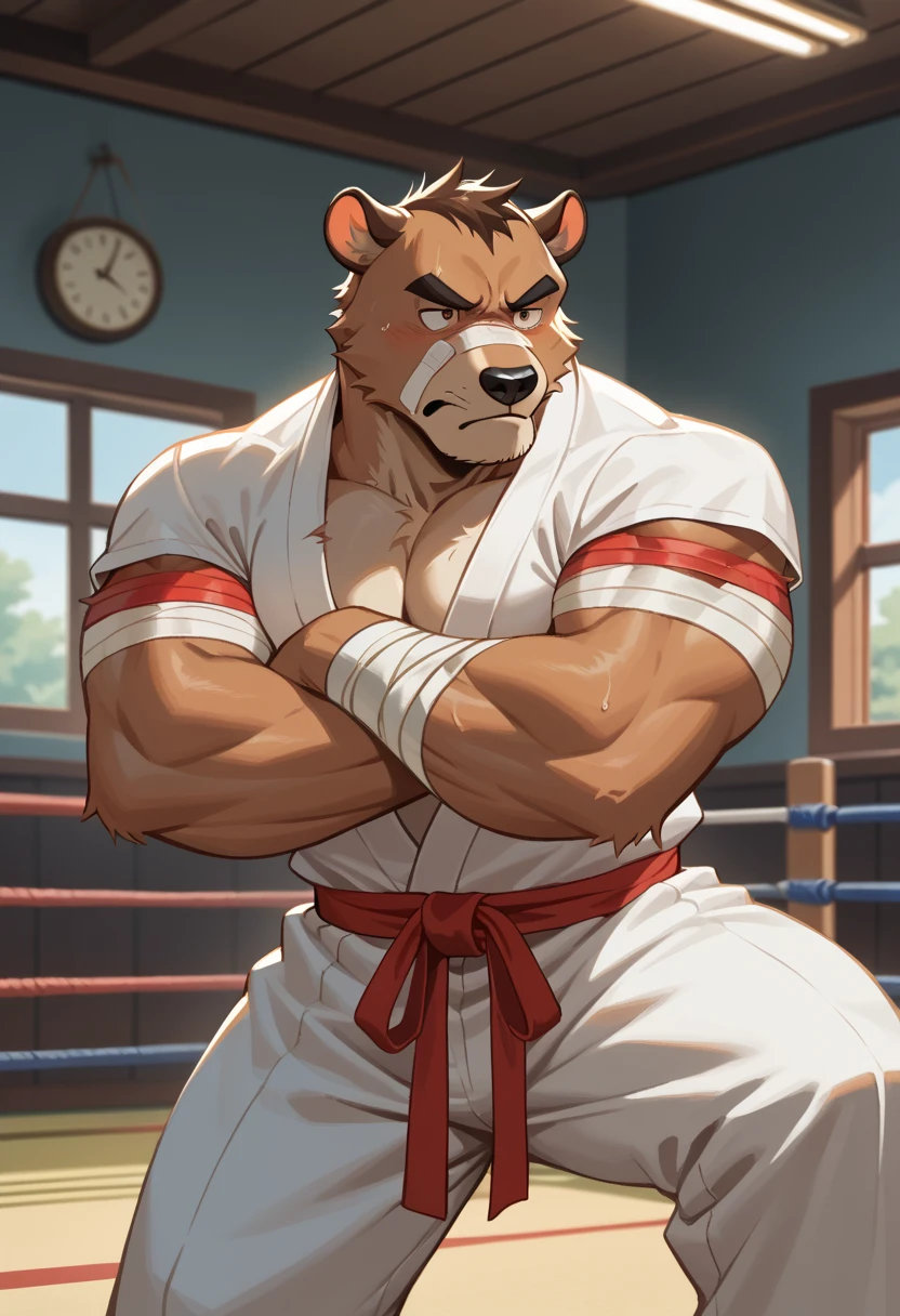 solo, 1boy, Huge Muscular Old Grizzly Bear wearing kickboxing MMA belt , thick pectoral, thick arms, huge pectoral, wide pectoral, hige brown fur, short white hair, Kickboxing MMA shorts, kickboxing MMA gloves and shirtless, bearded, Kickboxing Martial Arts Cage Tournament background, masterpiece, semirealistic:1.2, high detailed, 8k, high resolution