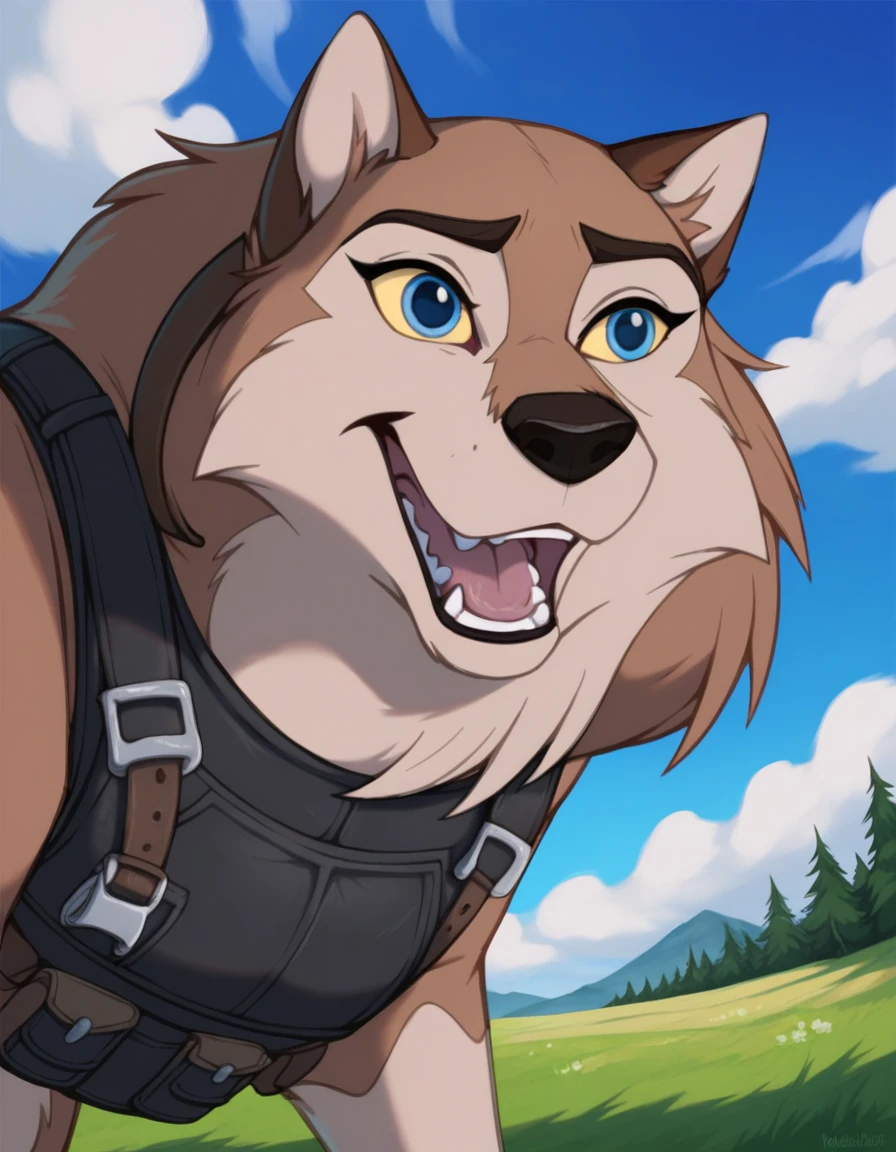 score_9, score_8_up, score_7_up, score_6_up,aleu, open mouth, blue eyes, outdoors, sky, day, blue sky, no humans, colored sclera, dog, animal focus, animalization, 1girl, wolf, animal, body fur, two tone fur, yellow sclera, wearing a bulletproof dog vest 