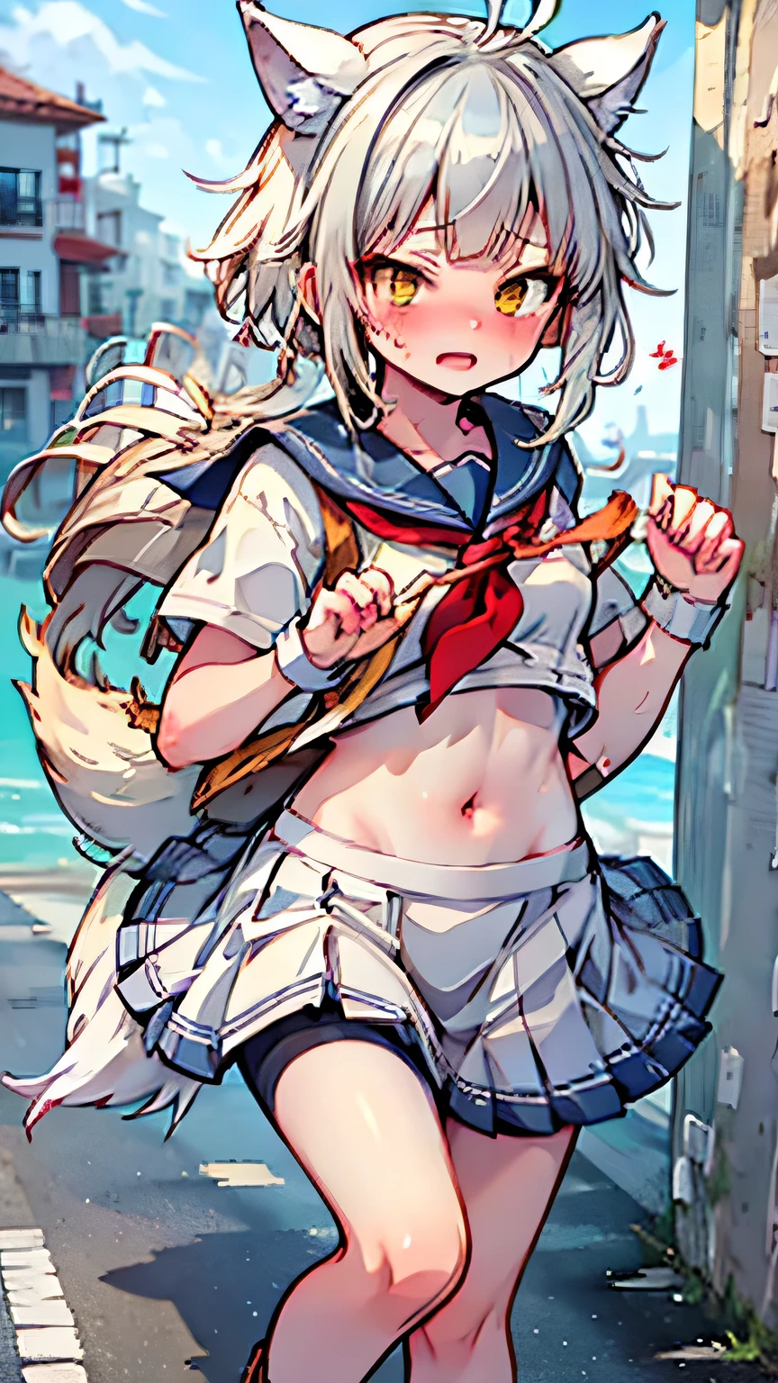 Pretty Girl Silver Haired Wolf Girl Beast Ears Wolf's Tail Sailor Suit, Pleated Skirt, Brown Loafers, Cycling, Seaside Road, Seagulls Are Flying, Nyudo Clouds, Sweaty Skin Feeling the Summer Heat 