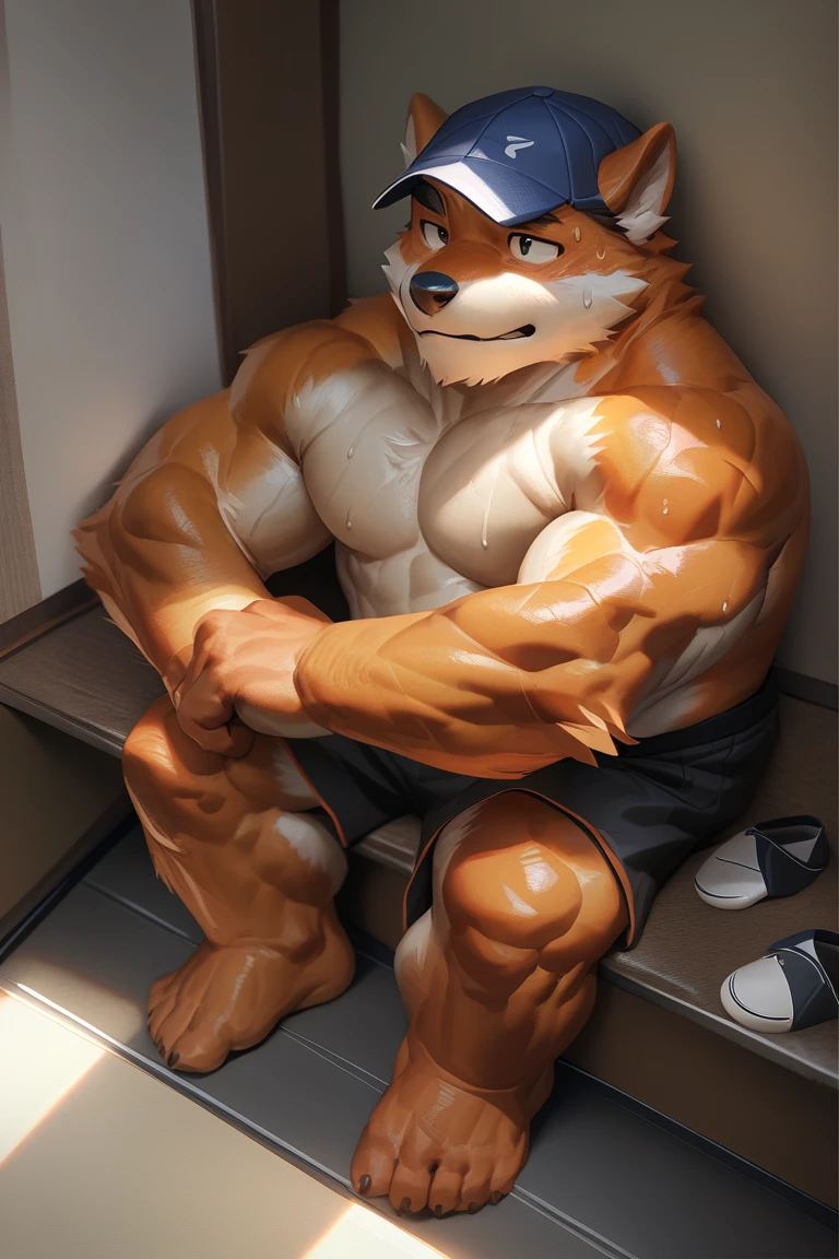 lindong, solo, 1boy, Muscular old furry fox, orange furr, baseball hat, sitting in change room, shorts, detailed, sweat, shirtless, masterpiece, semirealistic:1.2, high detailed, 8k, high resolution