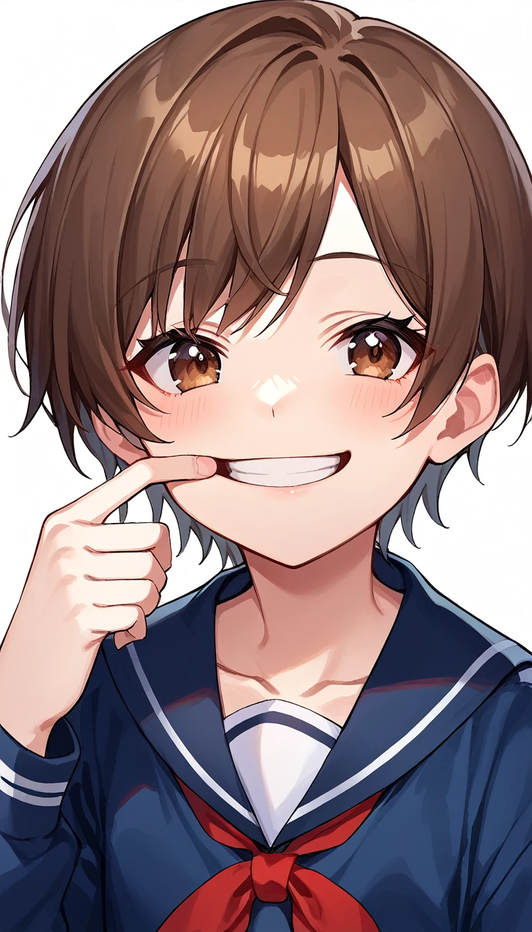  score_9,  score_8_up,  score_7_up, sauce_Anime, Good fingers,  five fingers, 最 High Quality ,  High Quality ,  1 girl, 最 High Quality ,masterpiece,Brown Hair, Brown eyes, school uniform,  upper body, smile, white skin, short hair, simple background,  Viewers, Pull your mouth with your right hand, Mouth stretches , self Mouth stretches 