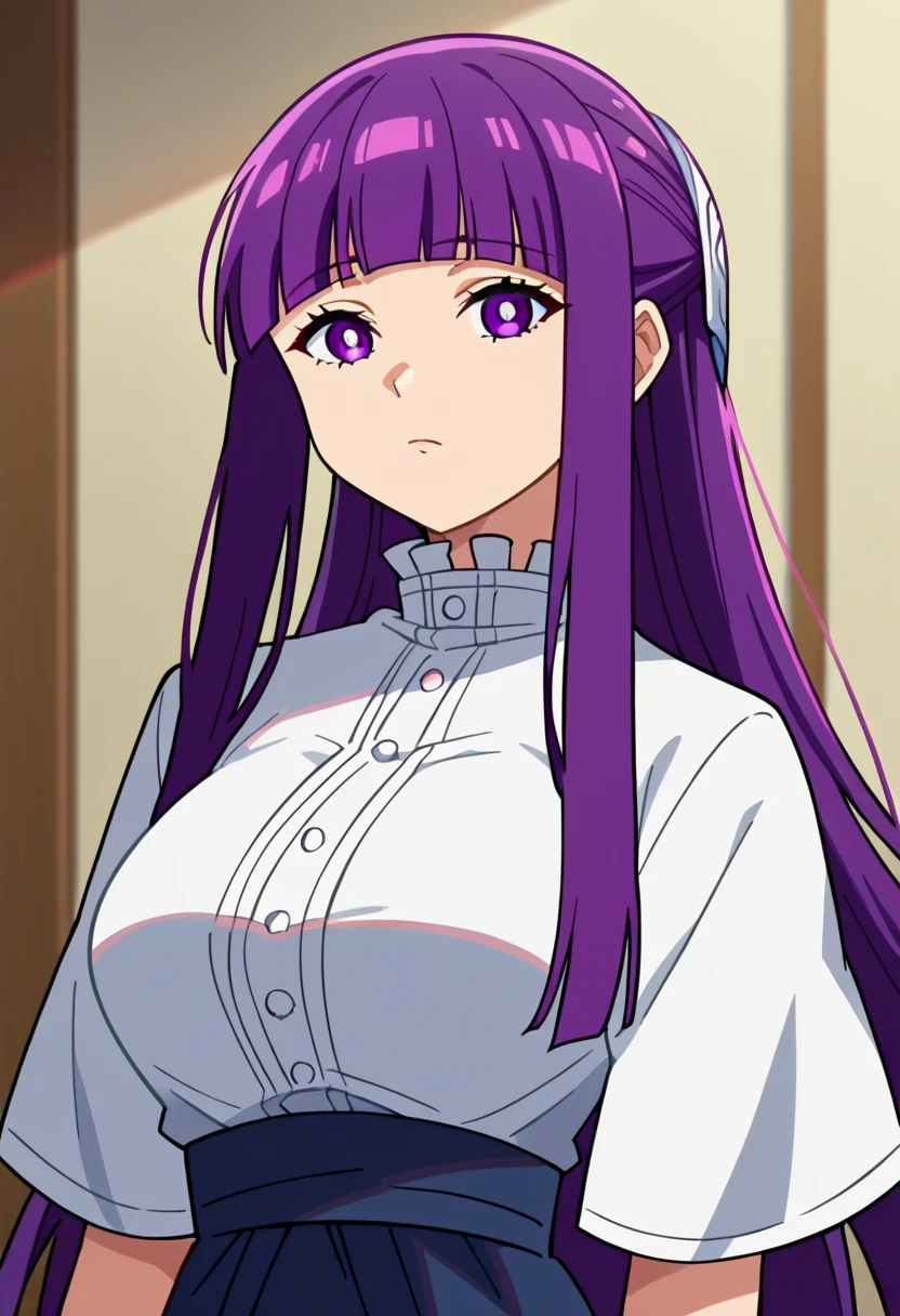 score_9, score_8_up, 1girl, solo, fern \(sousou no frieren\), large breasts, long hair, purple hair, half updo, blunt bangs, purple eyes,anime screencap, anime coloring, source_anime