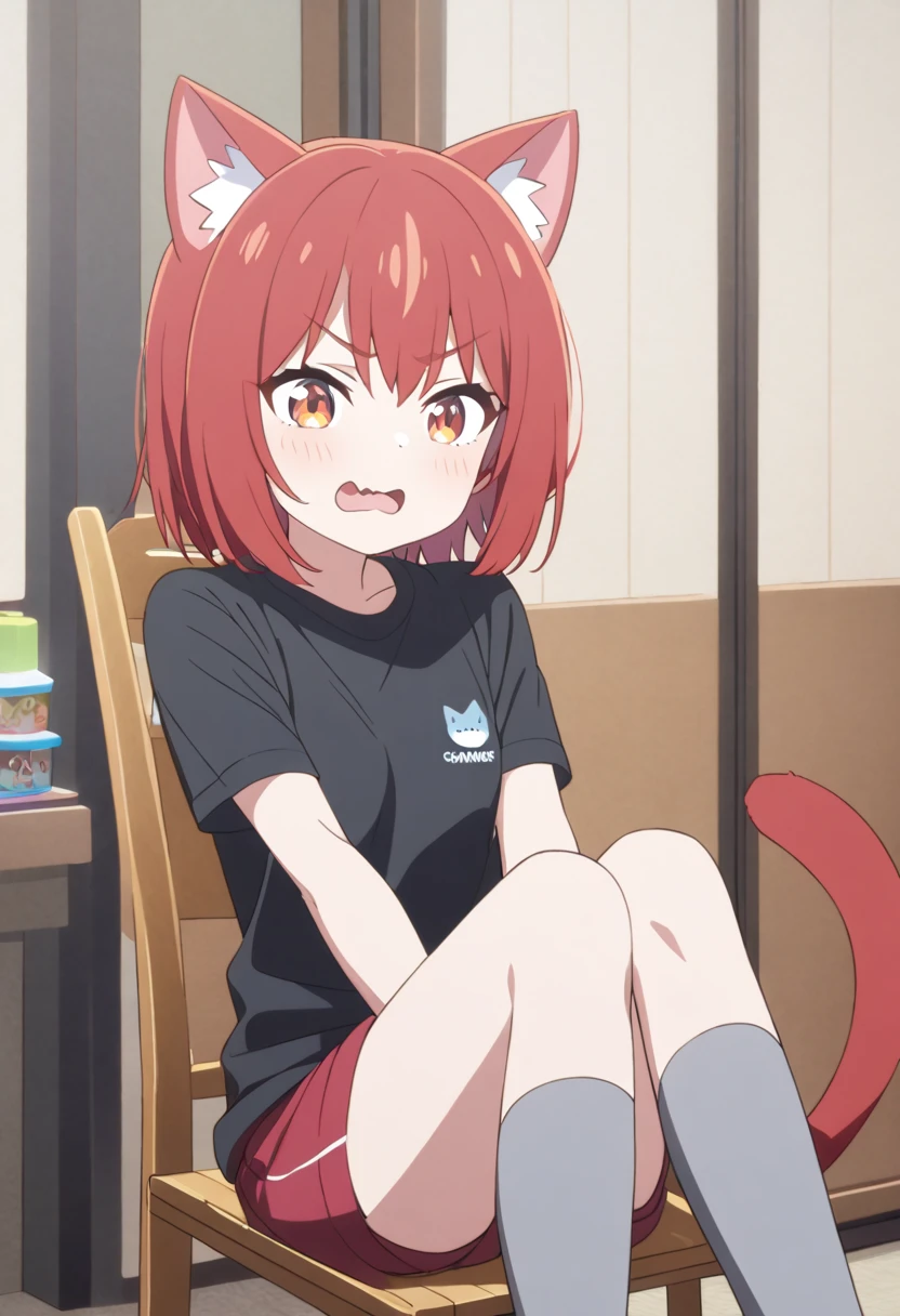  best quality、 one girl 、 small breasts、 cat ears and tail that open legs、 red hair、femboy shark cat、 orange eyes 、BLACK SHOULDER SHIRT 、 shorts、 GREY KNEE SOCKS 、Inside the house、Wood、 sit on a chair、Cheeky face