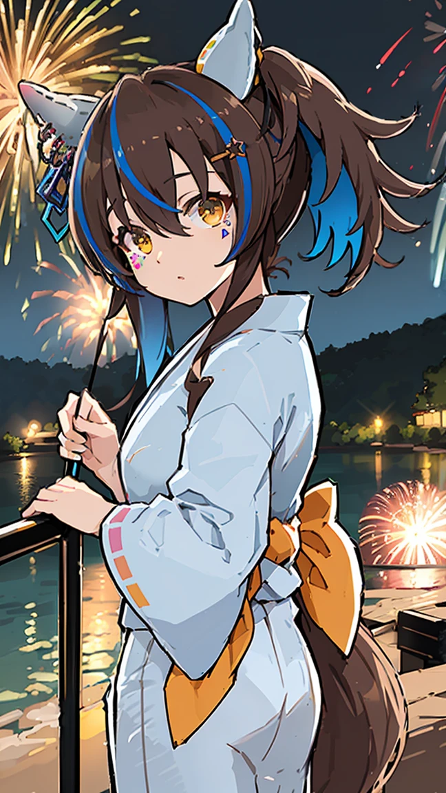 masterpiece,  best quality,  high definition ,  very detailed,((( Daitaku Helios ))), (((yukata))), (((Around town))), (((night))), (((firework))), (((handrail))), (((lake))), ((( sandy beach)))