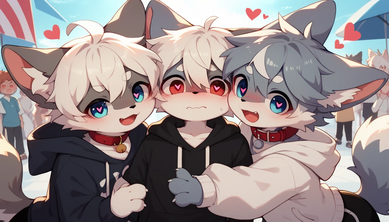  several people having fun with each other while having very detailed , several people having fun with each other while having very detailed , white hair with grey fur,Age 15,female,Heart Eyes,participate,Red collar, cute face, Fluffy Fur ,Horny boy ,White background, embarrassed face,Droopy ears, blush nose ,two friends , black shorts , sweatshirt , Long Sleeve ,Trendy,