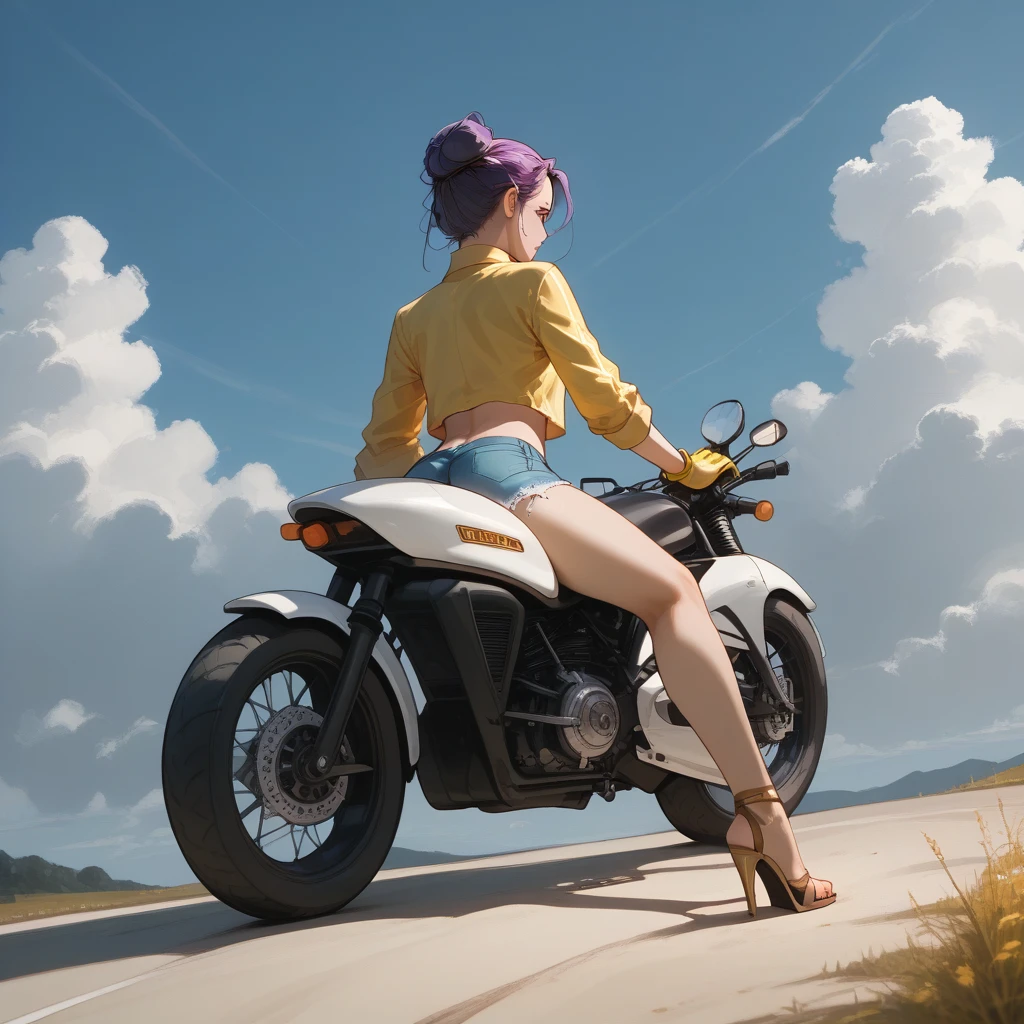 - A young woman sitting on a modern, sporty motorcycle with an aggressive and realistic mechanical design.
- The motorcycle is predominantly black and yellow, featuring a detailed metallic tube-shaped exhaust and a license plate that reads "EL ELECTRIC".
- The young woman has purple hair styled in a bun, with decorative pins or clips.
- She is wearing a torn yellow top that exposes her shoulders and short denim shorts.
- She wears yellow gloves and high-heeled sandals in shades of red and white, with a stylish and dynamic look.
- The background features an outdoor highway with metallic guardrails under a clear sky with scattered clouds.
- The composition includes realistic details of light and shadow, with soft lighting and saturated colors, maintaining a balance between warm and cool tones.
- Dynamic framing with a perspective focused on the motorcycle's rear, emphasizing the curves of the vehicle and the woman’s design.
- Visual style with smooth, stylized lines, typical of digital illustration with anime influence.
- High resolution, preserving rich textures and sharp details.
