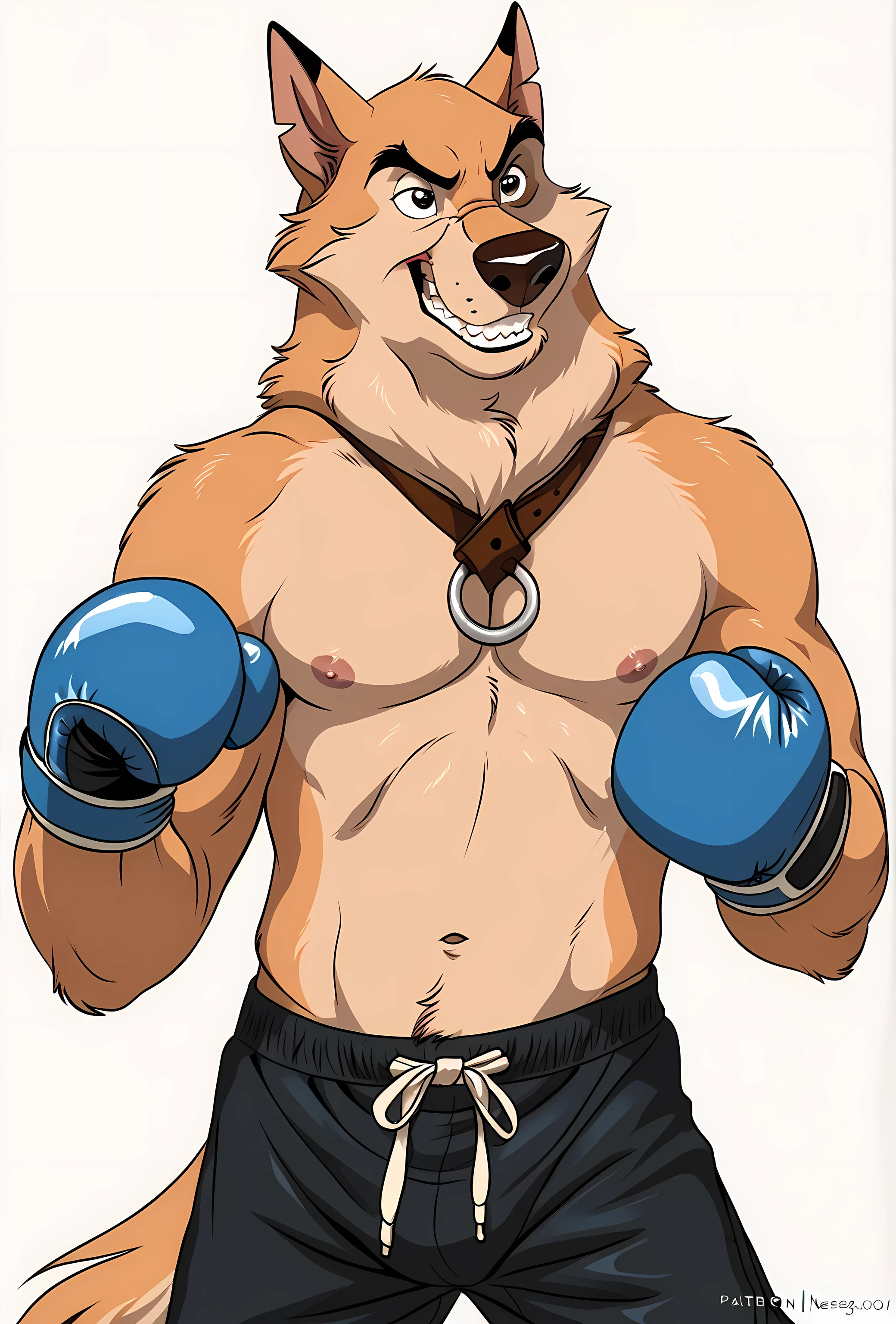 kaltag, alaskan malamute, detailed, detailed face, detailed eyes, anthro body, male, adult, very muscular, cartoon shading, cel shaded:1.0, confident, boxing trunks, (wearing boxing gloves, detailed boxing gloves):1.1, (no background, white background):1.5, bare chest, by wfa, by negger, puffed chest, boxing pose, action pose,