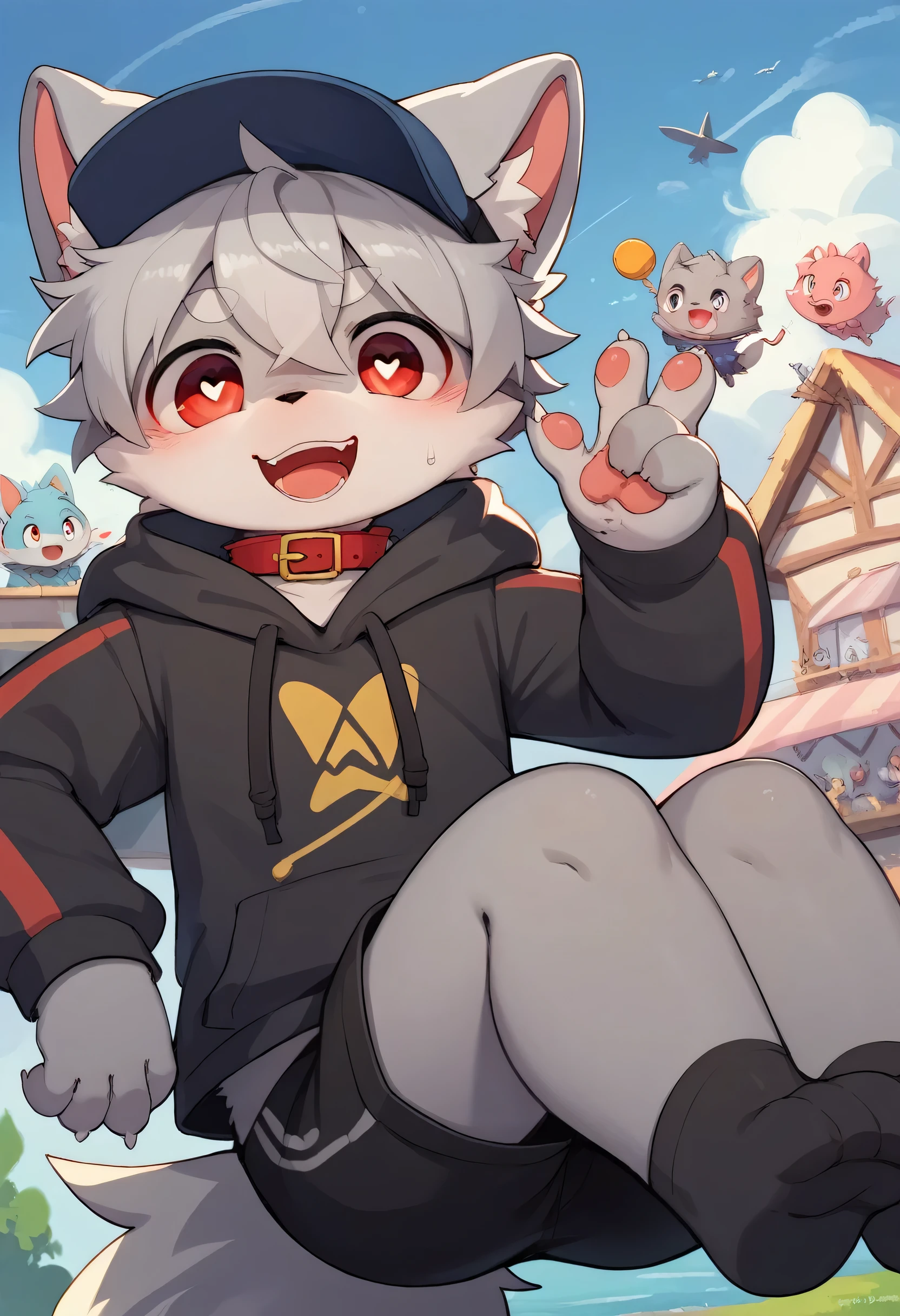 very detailedな, very detailed, gray fur, Gray Hair, Age 15,m ale, excited, heart eyes, participate, Red collar, cute face, flu ffy fur, Horny boy, Cheeky, blue hat, flying, blush nose, is e mbarrassing, ahe face, R18, black shorts, sweatshirt, Long Sleeve, trend