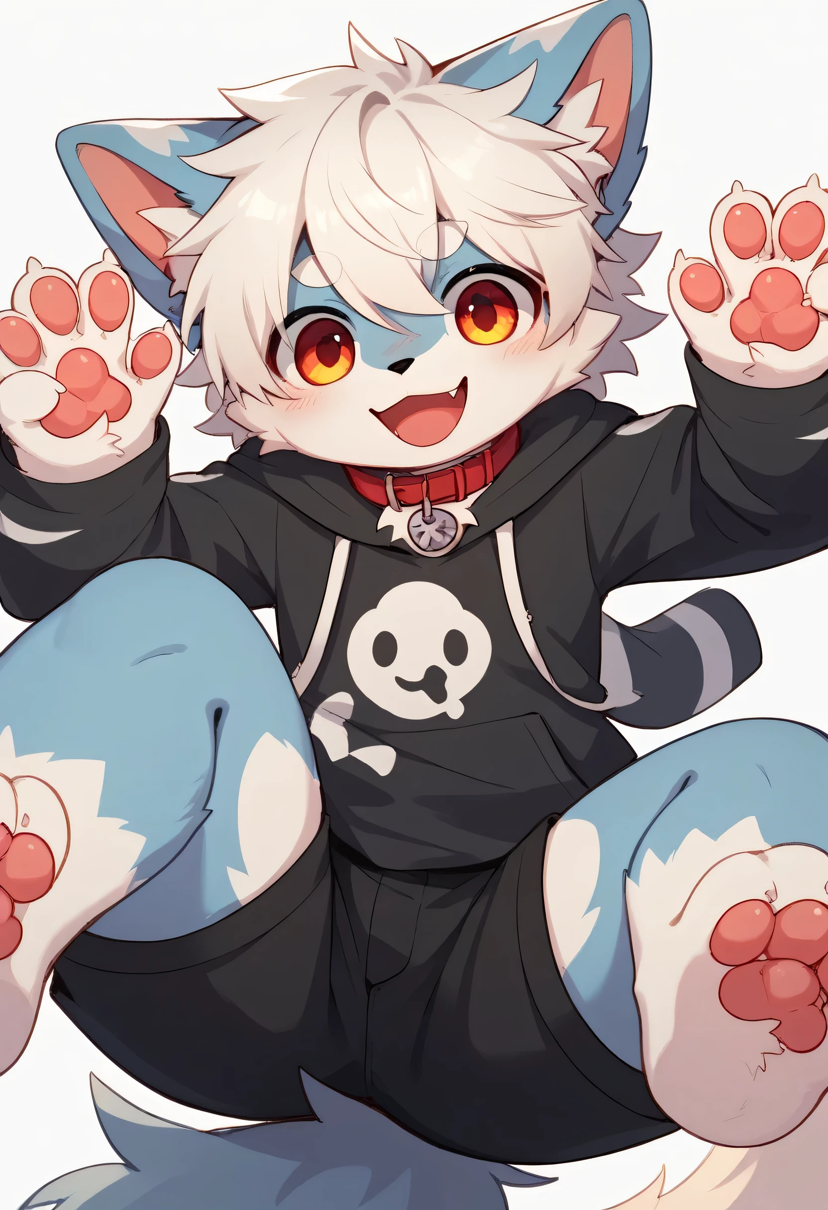 very detailedな, very detailed, white hair with gray fur, Age 15,male, excited to see bones, wolf fur, Excited, participate, cute face, fluffy fur like one, Horny boy, cute ears, Fluffy Ears Fluffy Ears, Show your legs, Estrus season, Show me a paw, Red collar, cute fur boy, boy, Horny boy, White background, blush nose, Alone, Droopy ears, Black Shorts, Black Short Sl eeve Hoodie