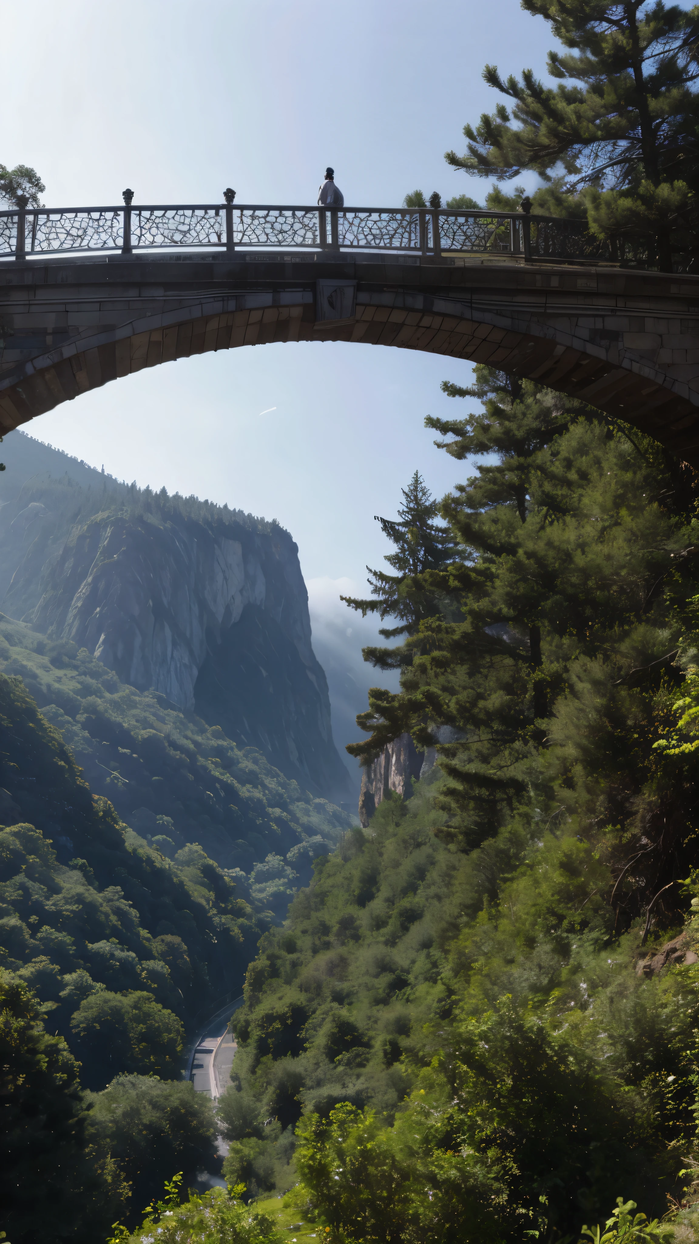  highdefinition images, An old bridge shrouded in fog、 deep valleys in an image taken from the side、An old suspension bridge connecting 。