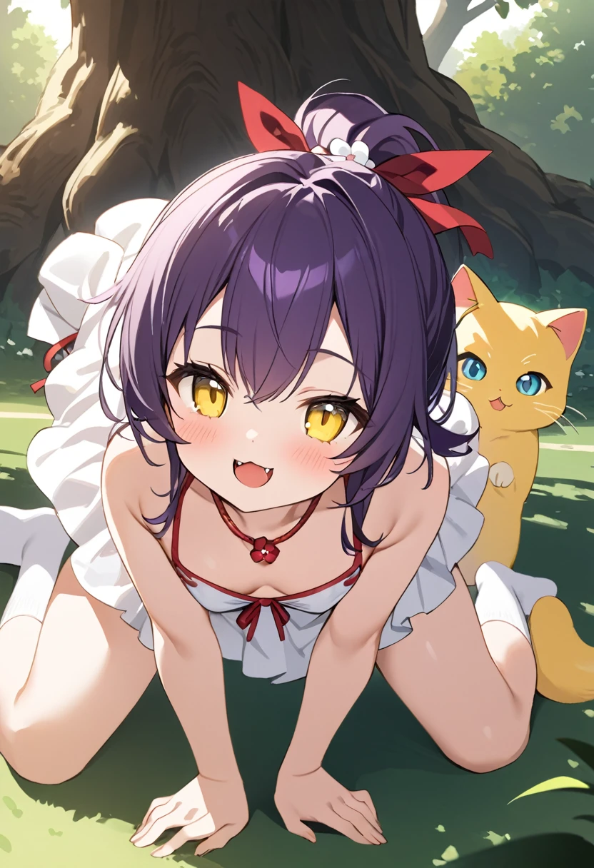  best quality、A girl、Wear an erotic bikini with a graceful flower 、Very young、 Short Ponytail 、 Big Ribbon Hair Tie、Dark purple hair、Yellow cat eyes 、Cute Fangs、Red Ribbon Necklace 、 Red and White Dress、 holding white socks 、Cat Pose、smile、Park Tree Shadow 、 Light Shines In 