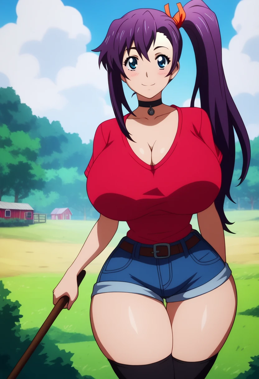 farm,((black stockings, denim, wide hips, high leg, huge breasts, cowboy waist, horny),((high leg, fat thighs: 1.5)), (big breasts: 1.3), choker on neck, smiling, ((blushing with excitement)), vulgar smile, Amaya Haruko, alone, long hair, side ponytail, purple hair, blue eyes,1girl, 1boy,female holding miniature person (two-handed),