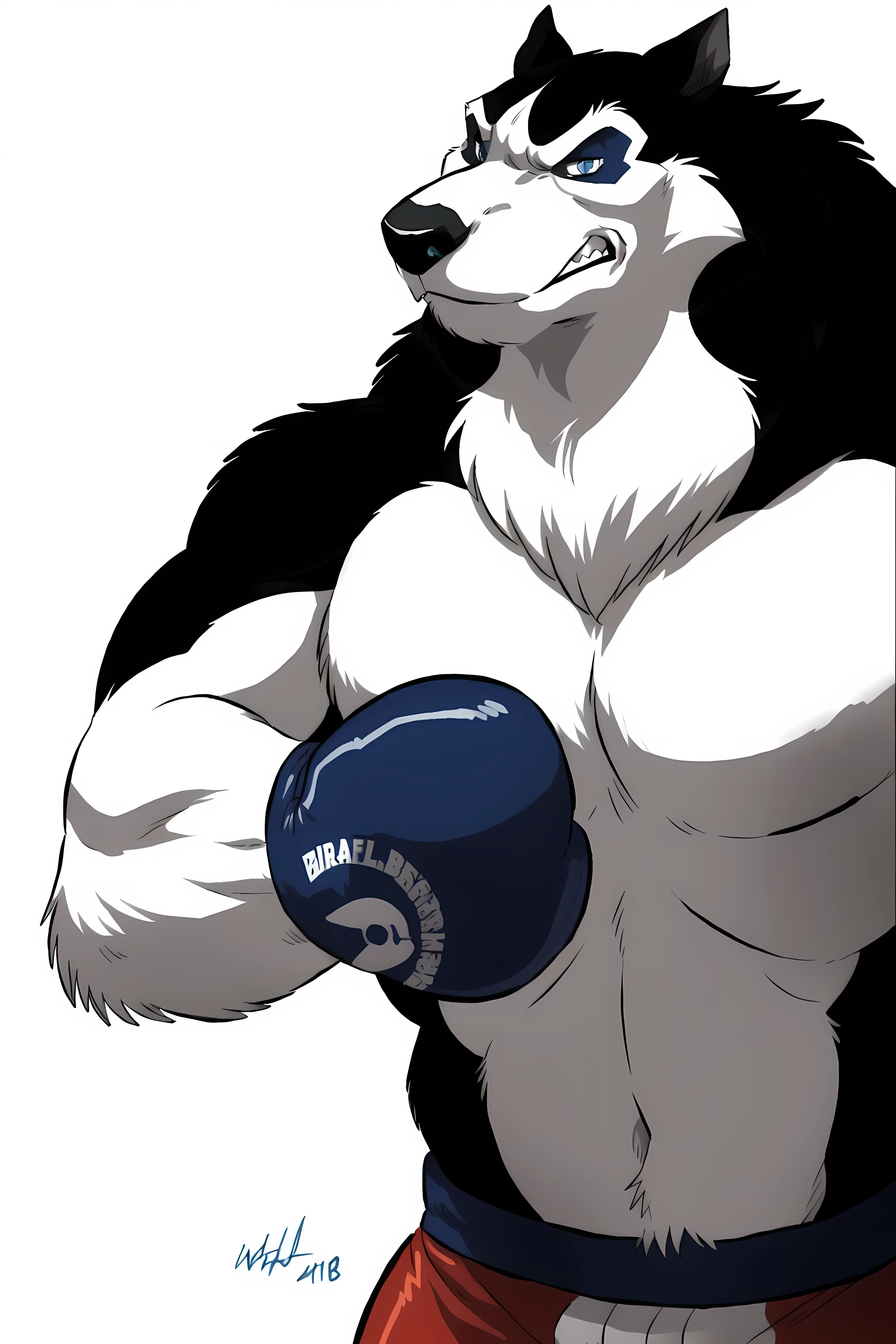 steele (balto), alaskan malamute, detailed, detailed face, ice blue eyes, piercing gaze, stern face, detailed eyes, anthro body, male, adult, heavyweight, very muscular:1.1, cartoon shading, cel shaded:1.0, confident, boxing trunks, (wearing boxing gloves, detailed boxing gloves):1.1, (no background, white background):1.5, bare chest, by wfa, by negger, puffed chest, boxing pose, 