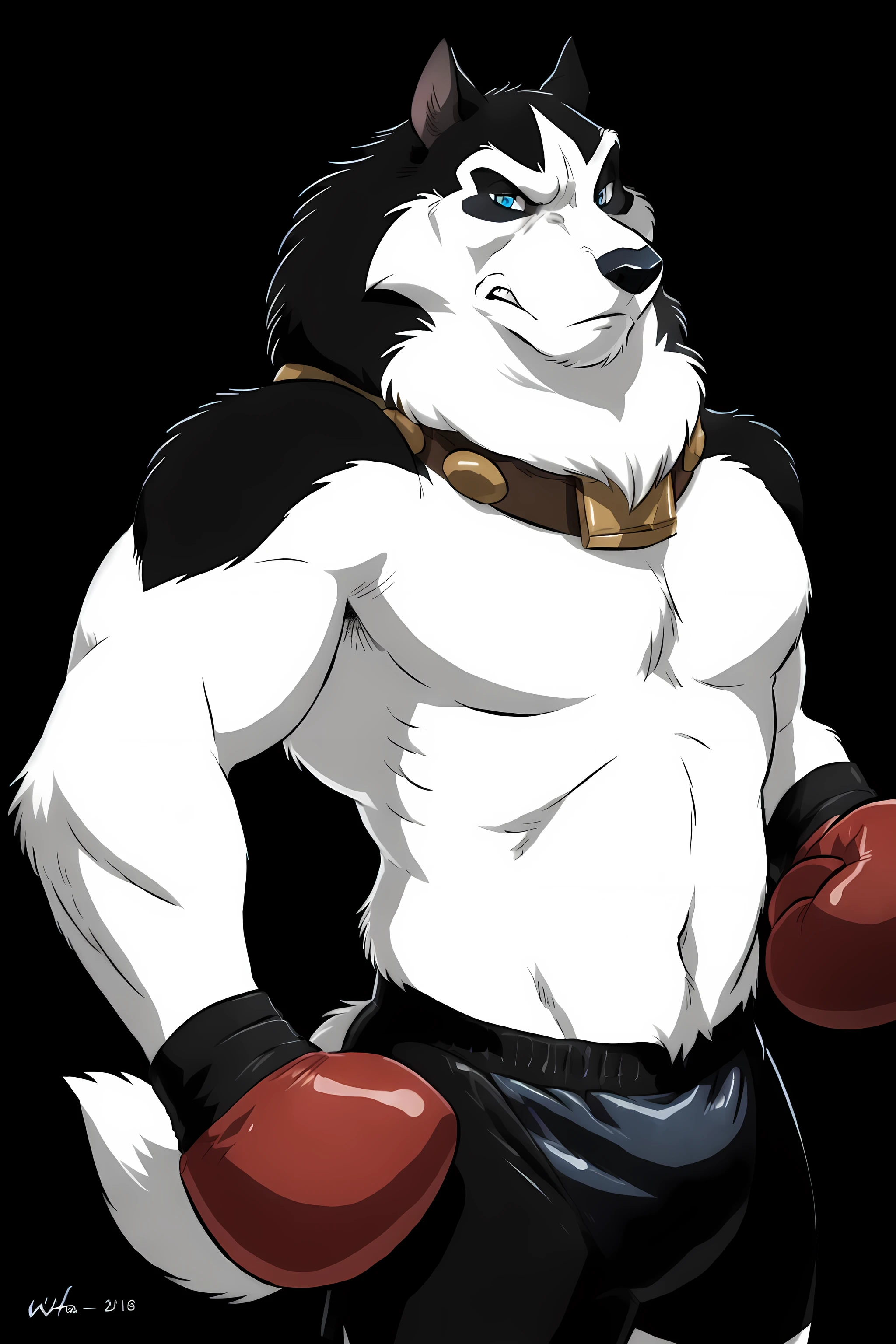 steele (balto), alaskan malamute, detailed, detailed face, ice blue eyes, piercing gaze, stern face, detailed eyes, anthro body, male, adult, heavyweight, very muscular:1.1, cartoon shading, cel shaded:1.0, confident, boxing trunks, (wearing boxing gloves, detailed boxing gloves):1.1, (no background, black background):1.5, bare chest, by wfa, by negger, puffed chest, boxing pose, collar